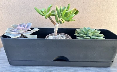 2 Pots Self-Watering Rectangular Indoor Outdoor Planter Box Black 16”each - Image 1 of 4