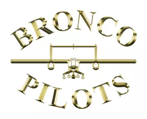 BRONCO PILOTS Signed Collector Edition - Courageous Romantic-NEW + FREE SHIPPING - Picture 1 of 24