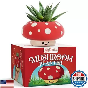 Mushroom Planter - Unique Cute Small Mini Succulent Plant Pot with Drainage f - Picture 1 of 5