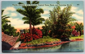 Florida Abounds With Numerous Tropical Trees Plants Shrubs Linen Postcard - Bild 1 von 2