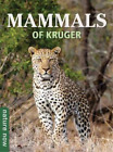 Joan Young Mammals of Kruger (Paperback) Nature Now