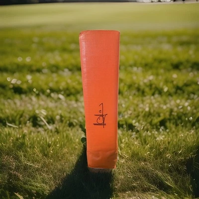 Pilón naranja firmado por Vince Young BSN de la zona final del fútbol - (certificado de autenticidad deportivo Schwartz) Foto 1 de 4