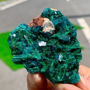 51G Natural Deep Green Grainy dioptase gemstone cluster mineral specimen - Picture 1 of 24