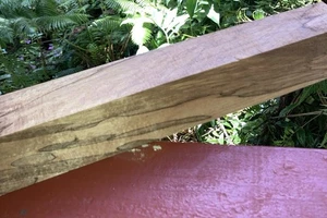 One Select Piece Spalted Hawaiian Koa Wood~23 1/2" x 2 1/3" x 1 3/4" (#638) - Picture 1 of 14