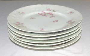 CF Field Haviland Limoges Schleiger 382 SIX 9.5/8 inch Dinner Plates - Picture 1 of 3