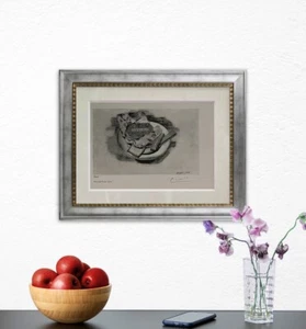 Pablo Picasso, Original Hand-signed Lithograph with COA & Appraisal of $3,500 - Picture 1 of 11