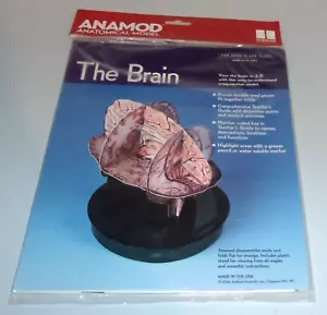 The Brain 3-D Querschnittsmodell - Kunststoffständer - Vinylstücke - Anatomisches Modell - Bild 1 von 4