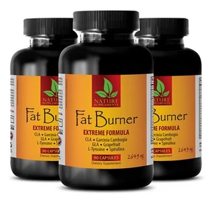 body detox - FAT BURNER EXTREME FORMULA - fat burner pills - 3 Bottles - Picture 1 of 12