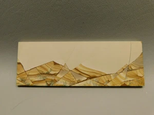 Pietra Paesina Polished Rock Italian Picture Jasper Stone Slab Italy #O6 - Picture 1 of 8
