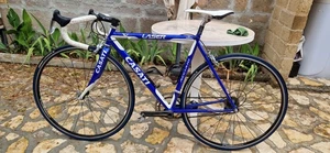 Bici da corsa - road bike - Casati Laser - 52 / 50 acciaio - Foto 1 di 13