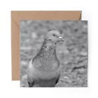 1 x Blank Greeting Card BW - Pigeon Racing Bird Birds Dad Uncle #43422