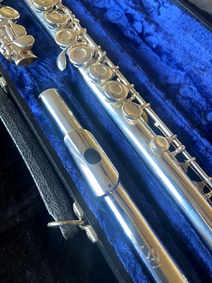 FLAUTA REVISADA OFFSET G, C FOOT VIDEO DEMO Commonhardt M2 Foto 1 de 4