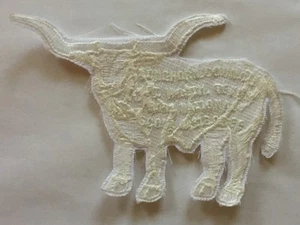2001 Longhorn Council National Scout Jamboree Ghost patch - Picture 1 of 1