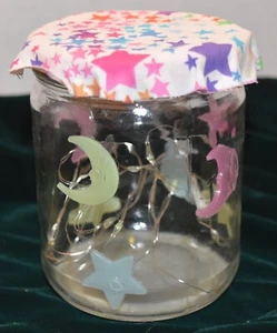 Firefly Jars Summer Light or Night light Painted Jar Stars LED Lights - Picture 1 of 7