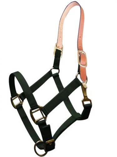 Halter de nailon triple capa Showman con corona de cuero Foto 1 de 1