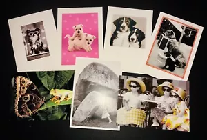 Hallmark Cards - 7 Blank Cards - Dogs - Kids - NWT - Clearance Sale - Picture 1 of 8
