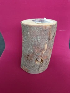 Sibirische Baumfackel Schwedenfeuer Gartenfackel Gartenkerze Deko Neu  - Bild 1 von 2