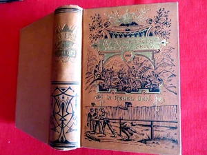 1882 MY EXPERIENCES MID SHOT AND SHELL AND IN REBEL DEN / URBAN / ILLUSTRATED - Picture 1 of 17