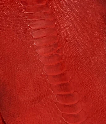 Piel Piernas de Avestruz Cuero, Copp Rojo GL Color Grado A (Esmaltado) Foto 1 de 2