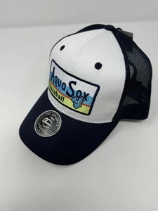 Gorra de béisbol Everett AquaSox Webbly Frogs Snapback sombrero OC deportes MiLB - Imagen 1 de 5