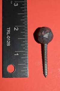 Decorative Wood Screw, Small Ball Head, Hammered Wrought Iron, by Blacksmiths - Picture 1 of 12