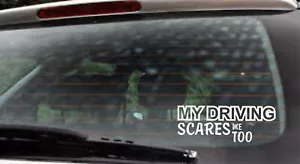 Car Sticker Van Funny Window Bumper Decal My driving scares me too - Picture 1 of 7