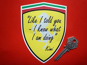 KIMI RAIKKONEN I Told You I Know What I Am Doing F1 FUNNY CAR sticker Formula 1 - Picture 1 of 1