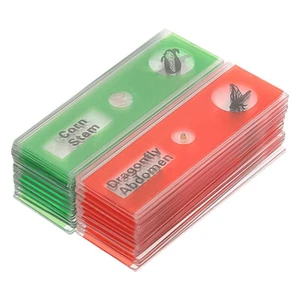 24 Pcs Microscope For Kids Microscope For Kids Glass Slide - Picture 1 of 12