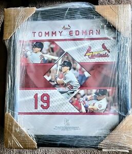 New Tommy Edman framed collage poster. Collectable MLB licensed. (original pkg)
