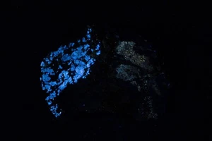 JH27036 Raro Benitoite, Mina Numero Uno Claim, CA - Imagen 1 de 4