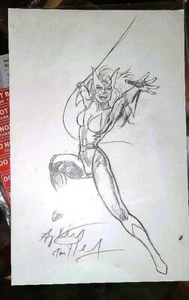 Greg and Tim Hildebrandt SHE-CAT concept art per AC COMICS grande immagine - Foto 1 di 10