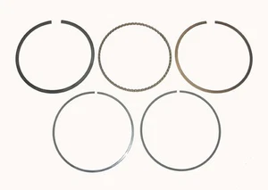 WSM Polaris 500 Ring Set 51-311, OE 3087224 - Picture 1 of 1