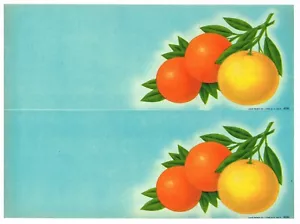 ORIGINAL VINTAGE UNGESCHNITTENER BLATT MIT 2 FLORIDA ETIKETTEN 1940ER JAHRE NOS BASTELPROJEKTE - Bild 1 von 1