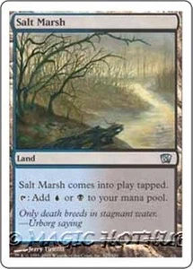 MTG - SALT MARSH - Eighth Edition (U) - Picture 1 of 1