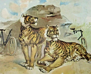Vintage Tiger Bicycle Stoddard Manufacturing Company Ad Trade Card Ohio 1890s - Picture 1 of 6