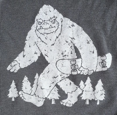 Shaun White T-Shirt Youth Sz XL (16/18) Skateboarding Bigfoot Waffle Knit Tee  - Image 1 of 4