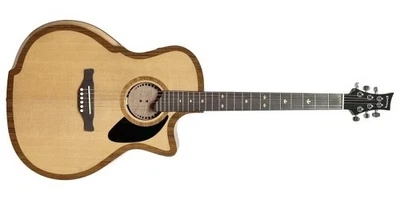 Riversong P2P-GA The River Pacific Acoustic-Electric Guitar - Image 1 of 4