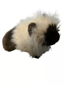 Himalayan Ganz Webkinz HM165 Plush Cat Kitten Kitty NO CODE Great Condition - Picture 1 of 3