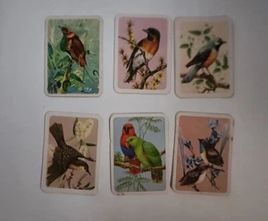 Australiana bird studies cards 6 off - nos - 13,16,109,203,271 284 - lot 571 - Picture 1 of 2
