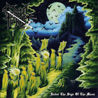 Cruel Force Under the Sign of the Moon (winyl) 12" album kolorowy winyl