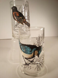 Vtg Mid-Century 2 Drinking Glass Tumblers Birds Blue Jay and Baltimore Oriole