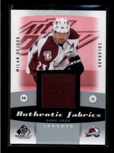 MILAN HEJDUK 2010/11 SP GAME USED AUTHENTIC FABRICS WORN JERSEY AJ8824