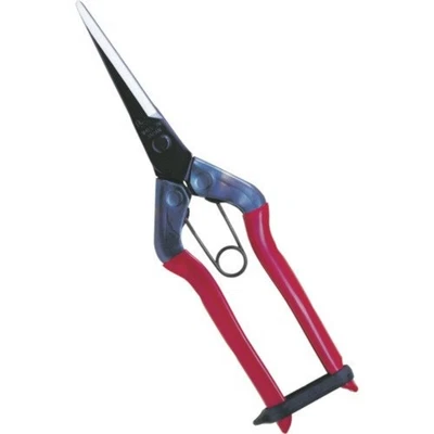 Chikamasa T-570 Long Bud-cutting Shears Snips (Stainless) F/S w/Tracking# Japan - Image 1 of 3