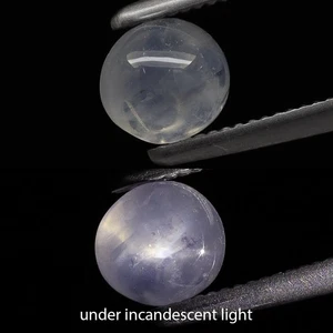 0.74ct 4.9x4.5mm Semi-Round Cab Natural Light Purple 6 Ray Star Sapphire, Burma - Picture 1 of 5