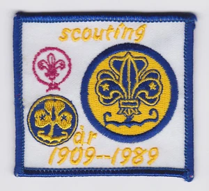 PARCHE SCOUTS OF SUECIA - 80 ANIVERSARIO DEL SCOUTING SUECO 1909-1989 SCOUT - Imagen 1 de 2