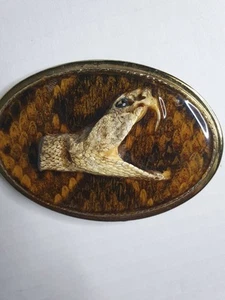 Fibbia cintura testa di serpente sonaglio autentica vintage stile cowboy western Texas USA - Foto 1 di 10