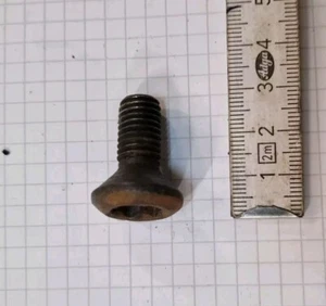 Gutbrod MF70 Senkkopfschraube 30mm - Bild 1 von 1