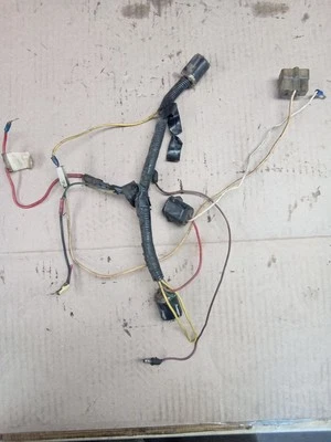 1979 Amc Concord 304 Engine Harness 360 401 Pacer Matador Pacer - Image 1 of 4