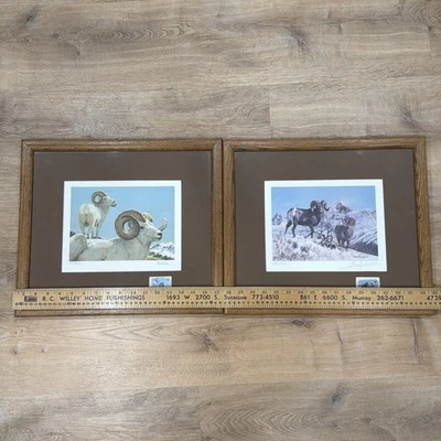 North American Wild Sheep Foundation Edición Limitada Impresiones Lote de 2 Firmadas Foto 1 de 4