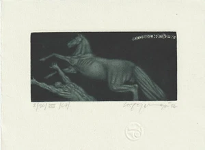 Origina limited edition Ex libris Exlibris by BOROVITSKY YURI / Russia - Picture 1 of 1